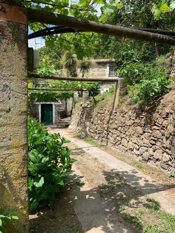 VECCHIO MULINO FONTONA Ortensia Chiesanuova  Exterior foto