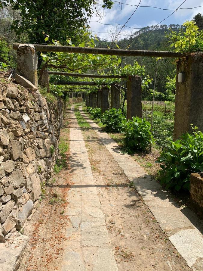 VECCHIO MULINO FONTONA Ortensia Chiesanuova  Exterior foto