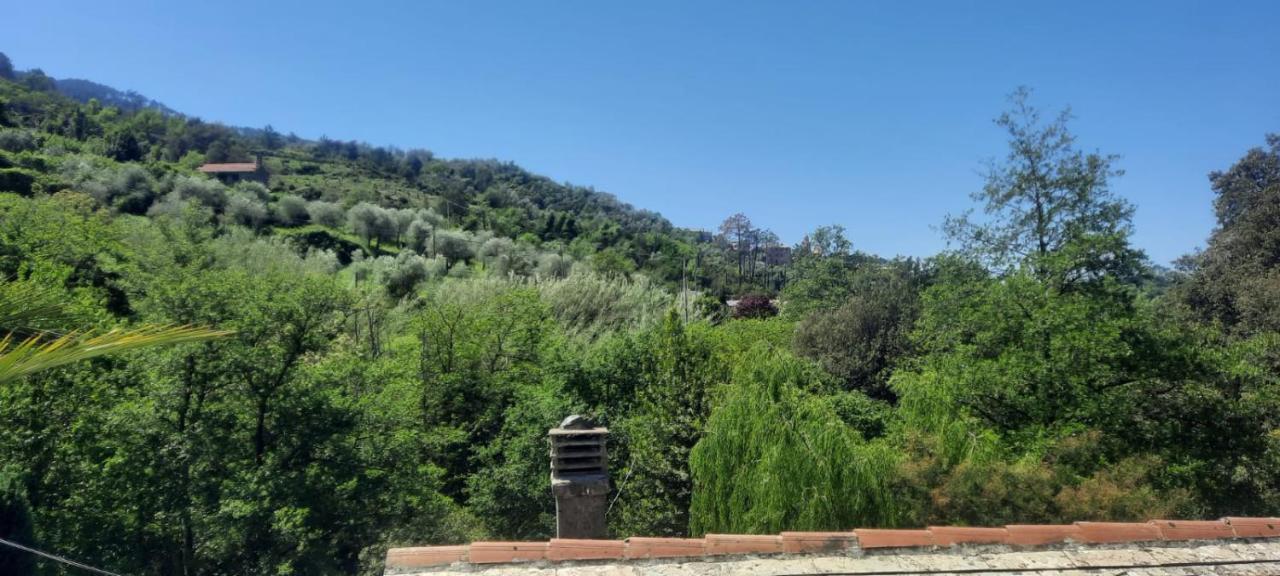 VECCHIO MULINO FONTONA Ortensia Chiesanuova  Exterior foto