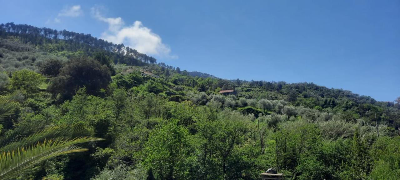 VECCHIO MULINO FONTONA Ortensia Chiesanuova  Exterior foto
