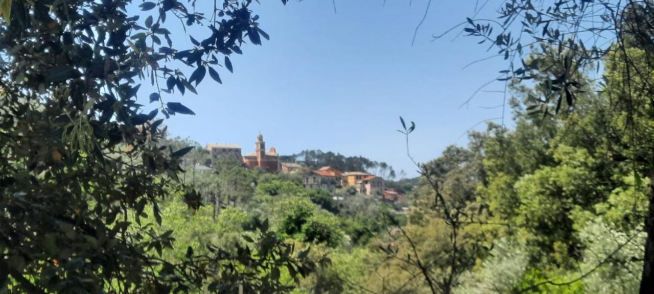 VECCHIO MULINO FONTONA Ortensia Chiesanuova  Exterior foto