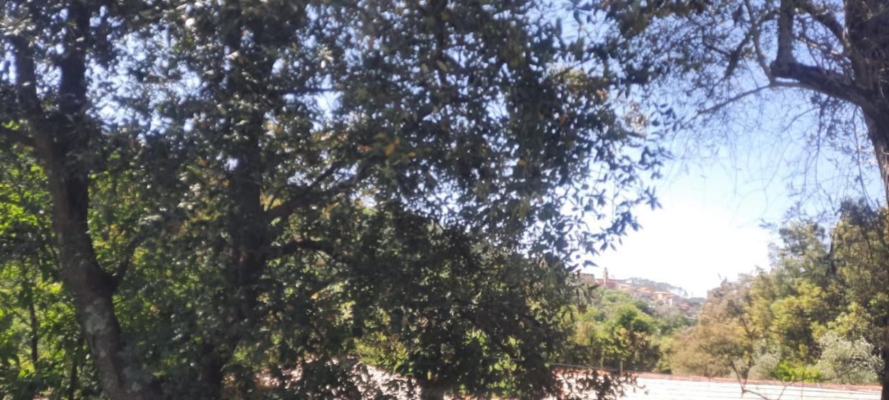 VECCHIO MULINO FONTONA Ortensia Chiesanuova  Exterior foto