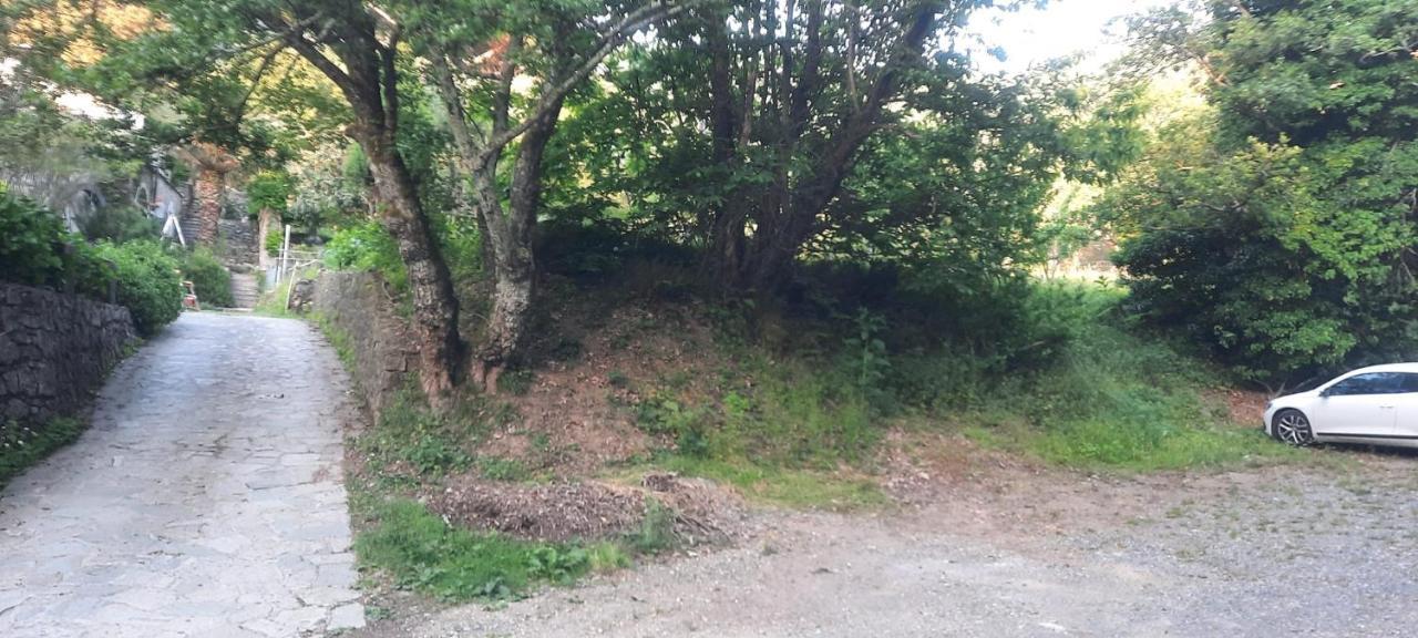 VECCHIO MULINO FONTONA Ortensia Chiesanuova  Exterior foto