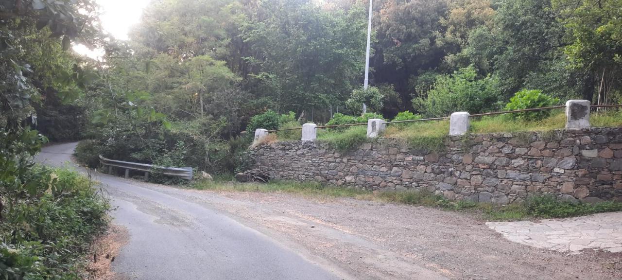 VECCHIO MULINO FONTONA Ortensia Chiesanuova  Exterior foto